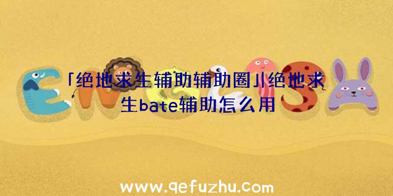 「绝地求生辅助辅助圈」|绝地求生bate辅助怎么用